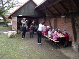 Obrázek v galerii