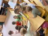 Obrázek v galerii