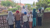 Obrázek v galerii