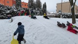 Obrázek v galerii