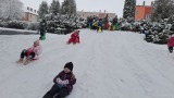 Obrázek v galerii