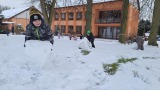 Obrázek v galerii