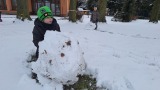 Obrázek v galerii
