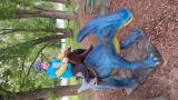 Obrázek v galerii