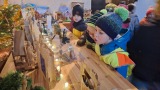 Obrázek v galerii