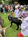 Kozičky ve školce- edukativní a zážitkový program