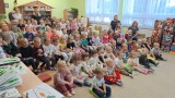 Obrázek v galerii