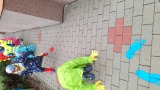 Obrázek v galerii