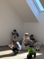 Obrázek v galerii